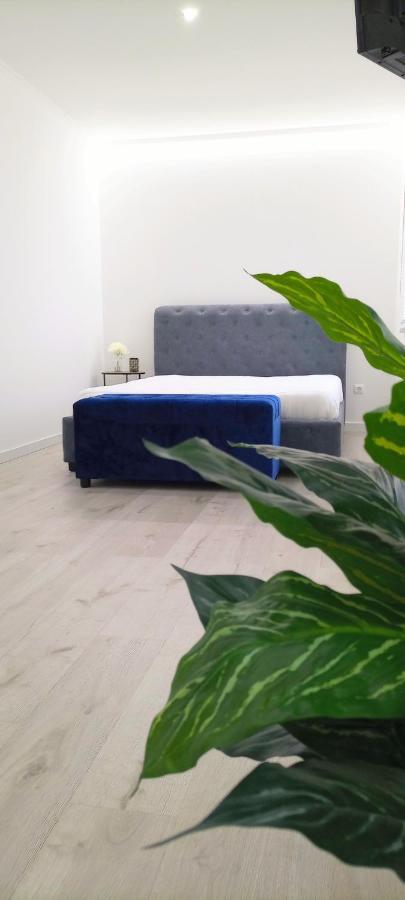 Casa Incrivel Refugio Lieva ,Piscina , Jacuzzi Exterior E Zona Kids Apartment Nelas Exterior photo